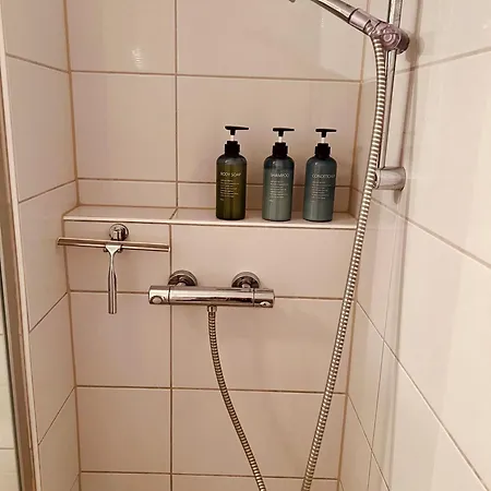 Penthouse With Terrace Near Audi Apartman Ingolstadt