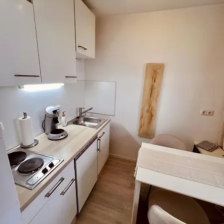 Penthouse With Terrace Near Audi Ingolstadt